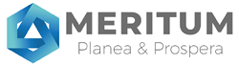 Meritum Logo